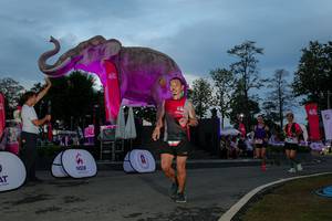 BIB: 
                            <button type="button" onclick="openModal(26529616)" class="btn btn-primary btn-sm float-right btn-popup" data-toggle="modal" data-target=".modal-high-quality">
                        <i class="fas fa-shopping-cart"></i> Add to Cart
                    </button>
                                            <button type="button" onclick="isThisMe(26529616, true)" class="btn btn-success btn-sm float-right btn-popup btn-isme hidden" data-toggle="tooltip" data-placement="bottom" title="นี่คือรูปของคุณใช่ไหม คลิกที่นี่เพื่อเอาเข้าอัลบั้ม">
                        <i class="fas fa-plus"></i> Add to album
                    </button>
                    <button type="button" onclick="isThisMe(26529616, false)" class="btn btn-warning btn-sm float-right btn-popup btn-isnotme hidden">
                        <i class="fas fa-ban"></i> Remove from album
                    </button>